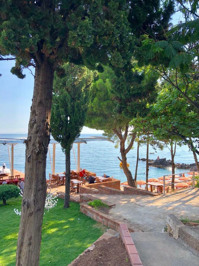 Queen Vasilika Hotel Dhermi Bagian luar foto